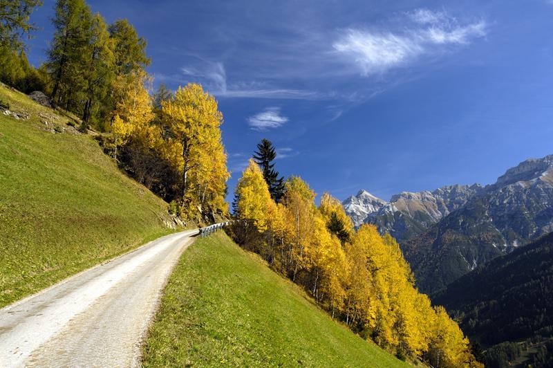 Pension Almrausch Neustift im Stubaital Ngoại thất bức ảnh