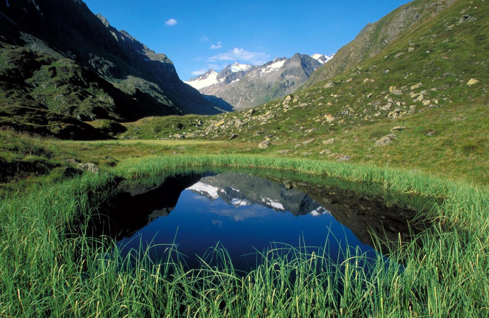 Pension Almrausch Neustift im Stubaital Ngoại thất bức ảnh