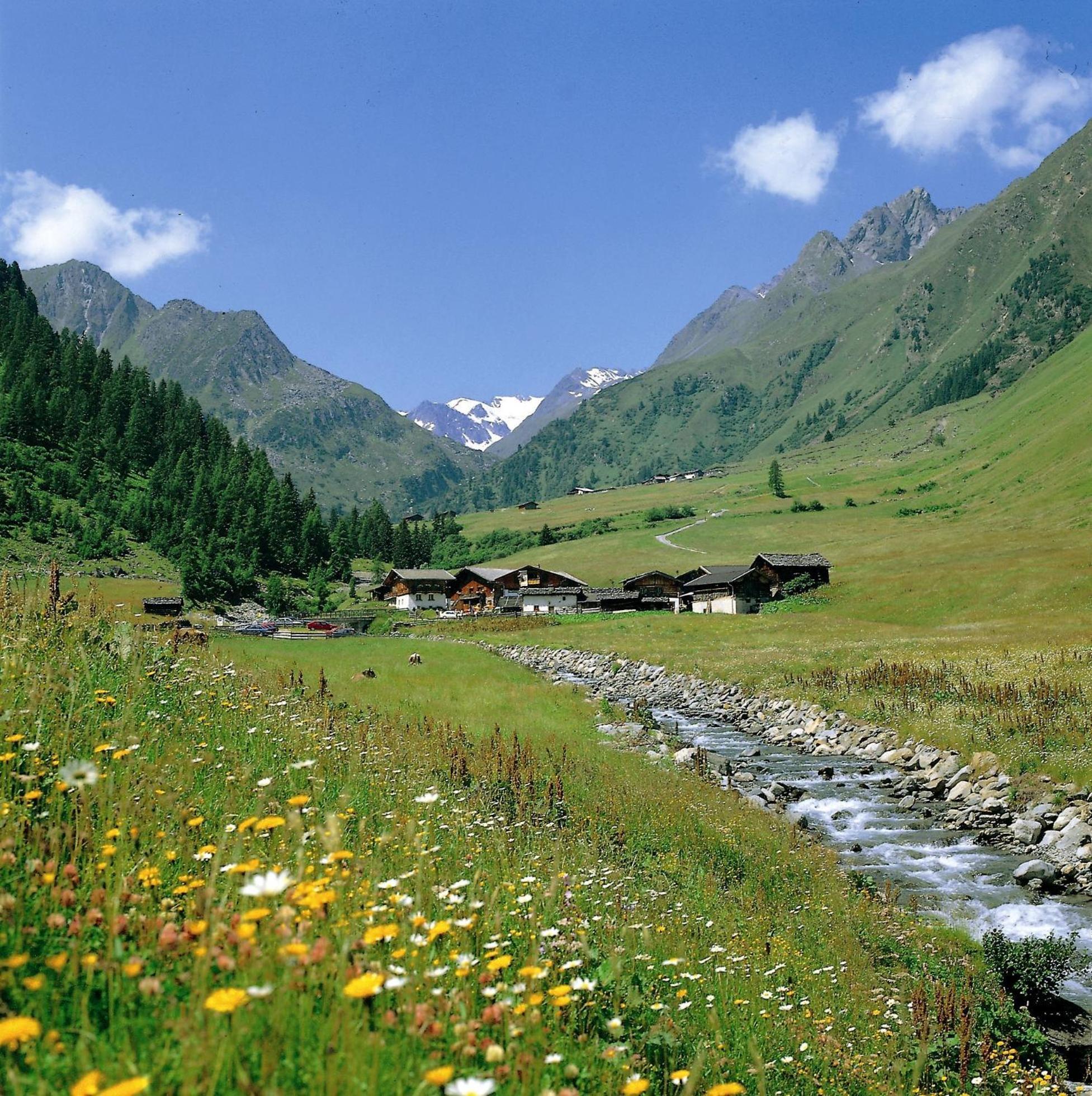 Pension Almrausch Neustift im Stubaital Ngoại thất bức ảnh